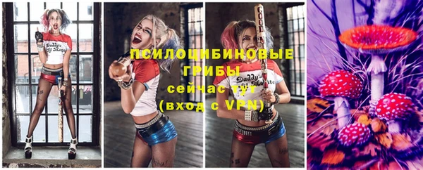 эйфоретик Заволжье
