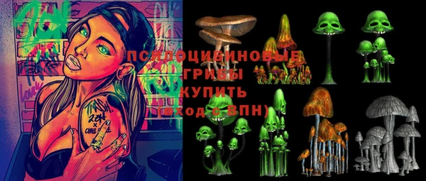 эйфоретик Заволжье